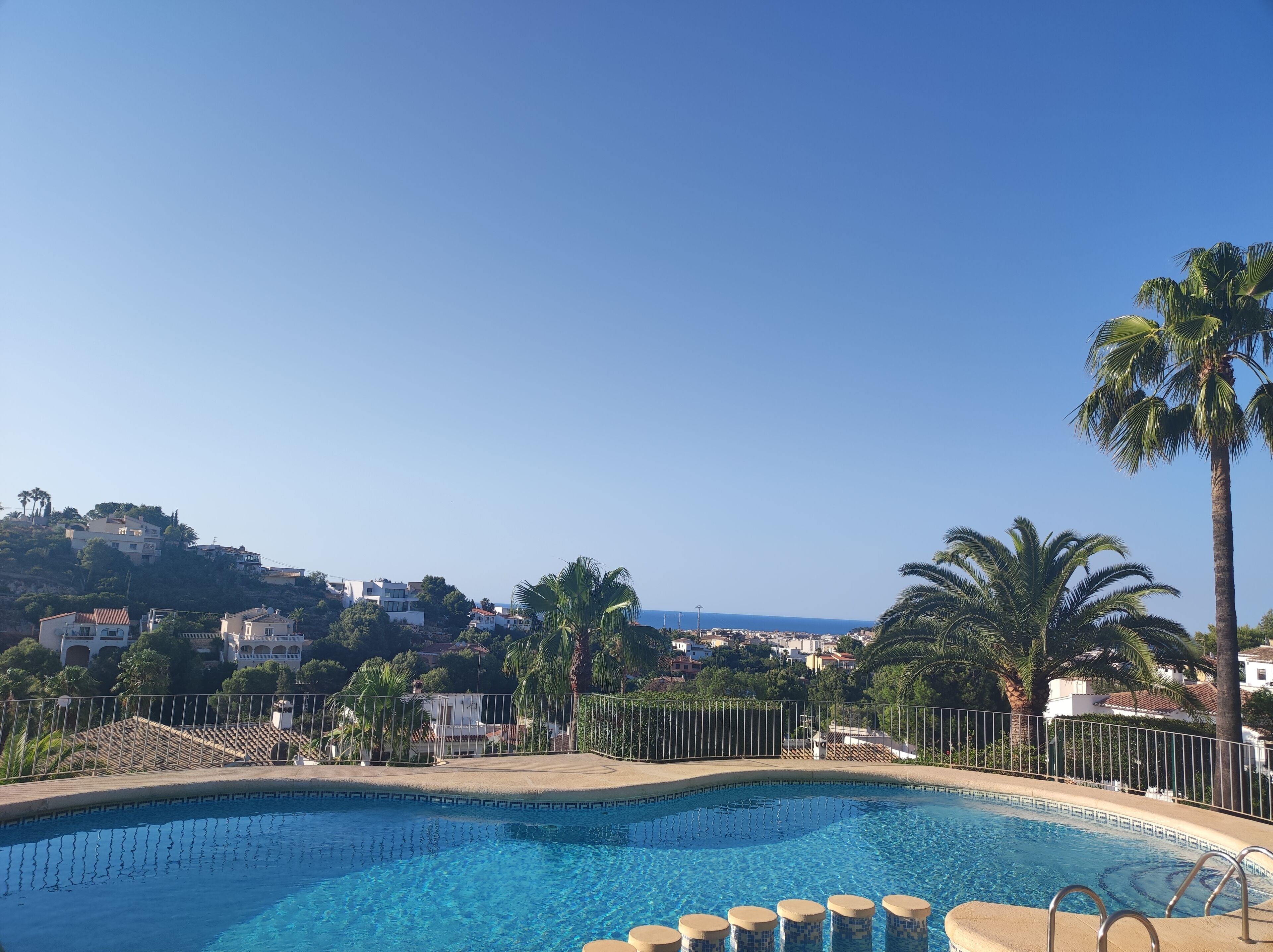 A swimming pool with a view of a hillside and palm trees.