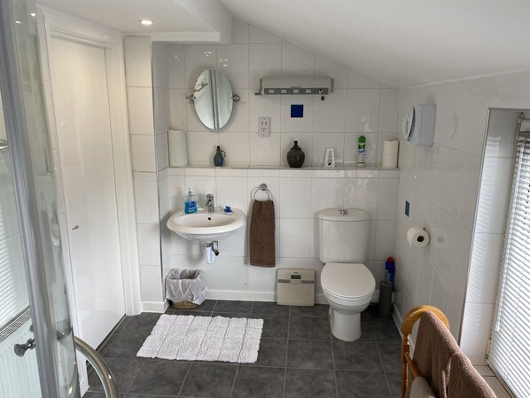 Shower, hair dryer, towels, soap