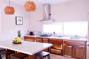 Fridge, oven, stovetop, coffee/tea maker