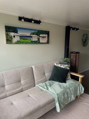 Smart TV, DVD player, books, stereo