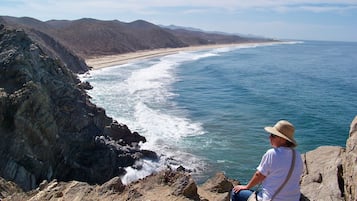 Accommodatie ligt op het strand, ligstoelen, strandlakens