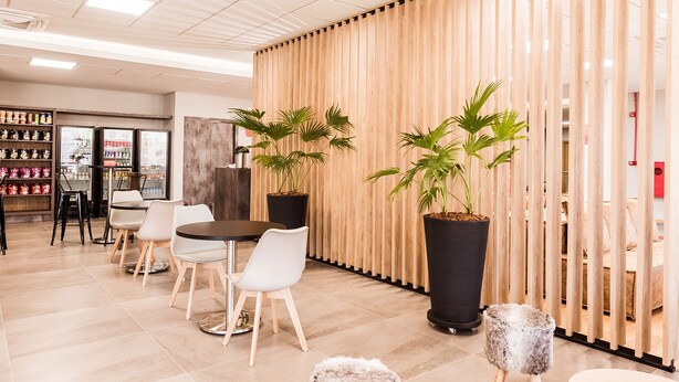 A modern interior with a wooden partition, potted plants, and a seating area with chairs and a table. - Hotel 10 Balsas (Balsas)