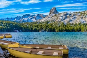 2 間睡房、上網、床單、方便輪椅出入