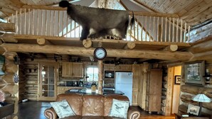 A rustic cabin interior with a leather sofa, wooden dining table, and a hanging cow.