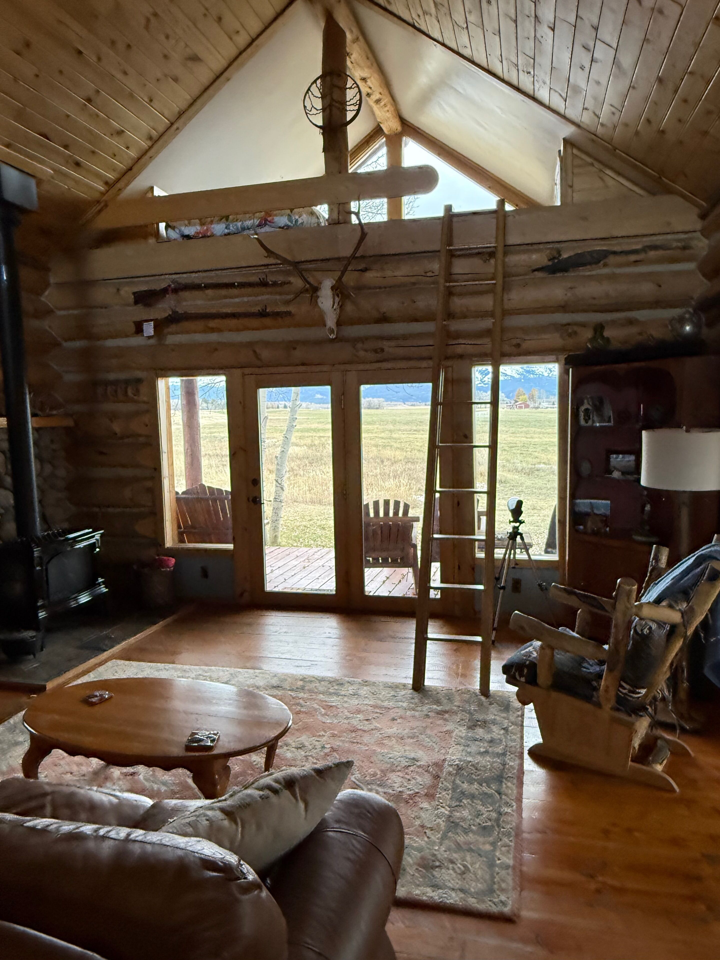 Smart TV, fireplace, books, stereo