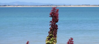 Lookout over Beautiful Perehipe Beach
