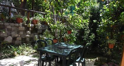 House with garden