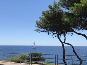 Vue sur la plage/l’océan