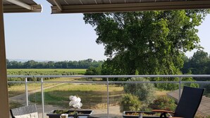 Eine überdachte Terrasse mit Tisch und Stühlen, Blick auf einen Weinberg und ein Rollstuhl.