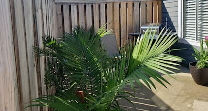 Cozy and Cute apartment near Camp Lejeune (109)