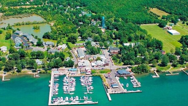 An aerial view of a marina with boats docked, surrounded by lush greenery and residential buildings.