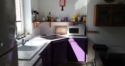 BRIGHT DUPLEX IN LILLE WAZEMMES