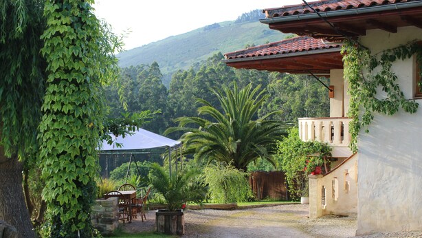 A house with a gravel driveway, a palm tree, and a white tent in the background.