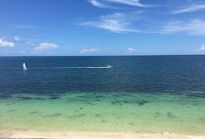 Ubicación a pie de playa, tumbonas y toallas de playa