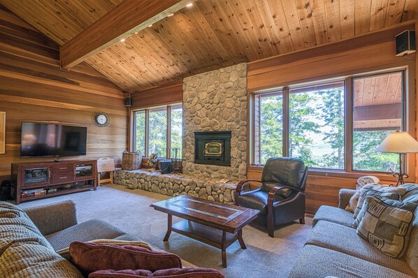 电视、壁炉、DVD 播放器