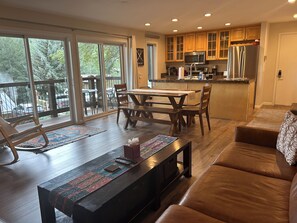 Smart TV, fireplace, books, stereo