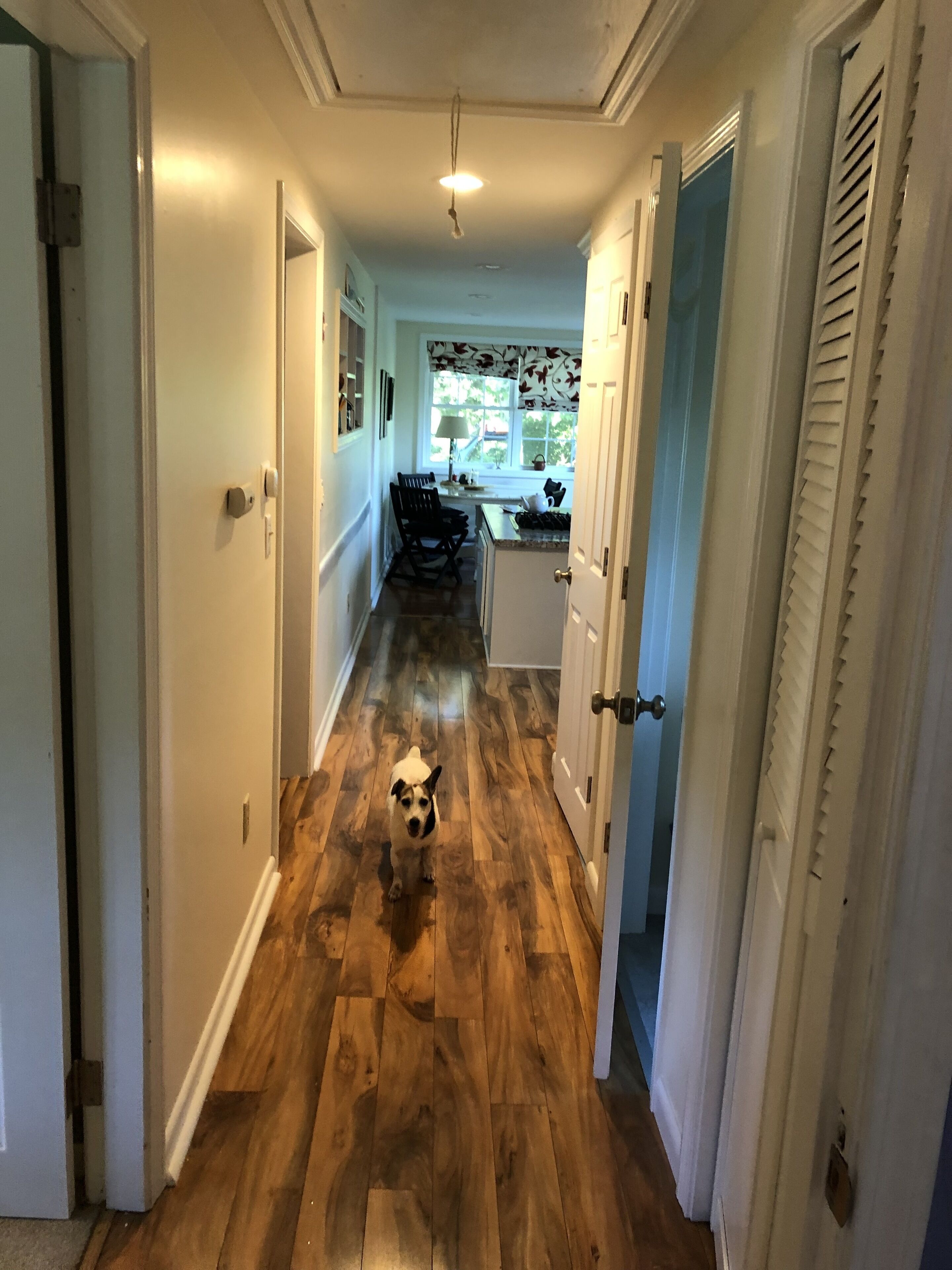 Un couloir au plancher de bois menant à une cuisine.