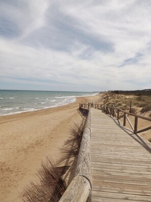 Playa en los alrededores 