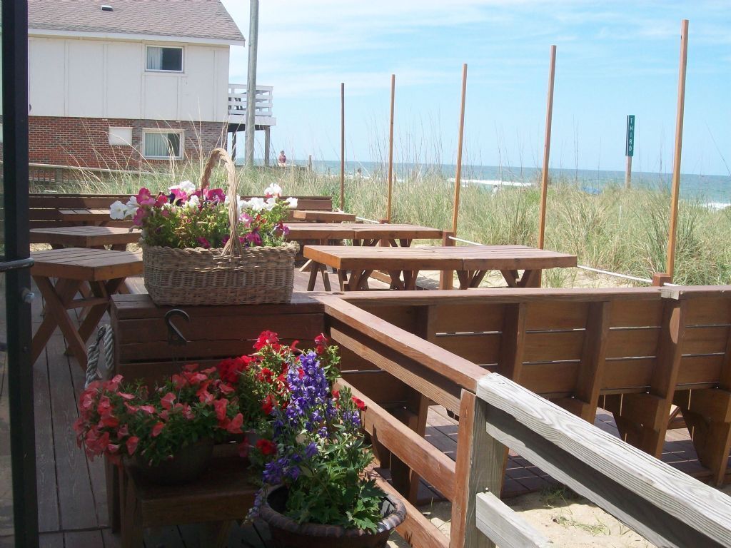 Un espace extérieur aménagé avec des tables et des bancs en bois, un panier en osier rempli de fleurs et une vue sur la plage et l’océan.