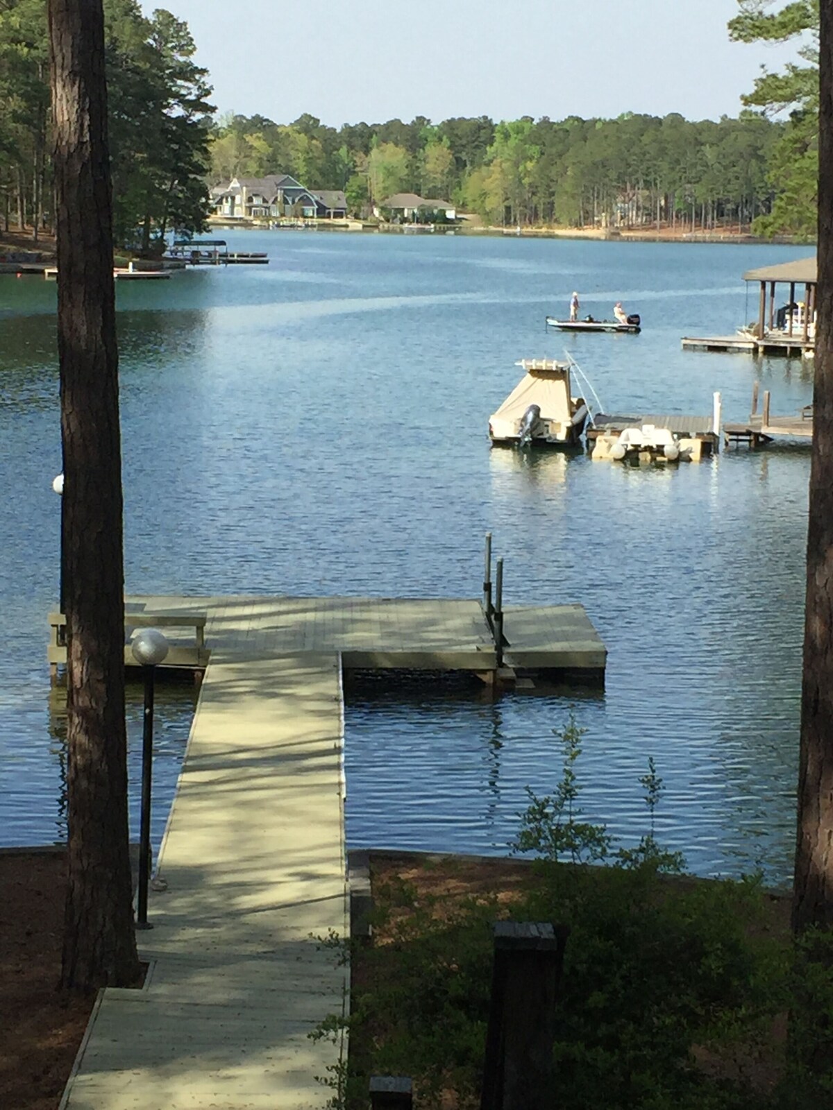 Imagen de perfil del propietario o de la propietaria