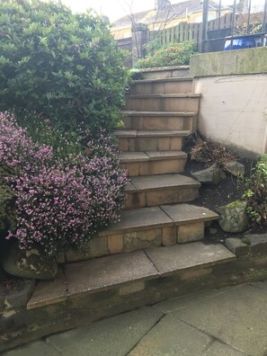 المنطقة المحيطة بالمنشأة