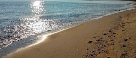 Beach nearby, sun-loungers, beach towels
