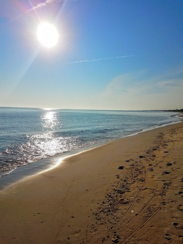 Beach nearby, sun-loungers, beach towels
