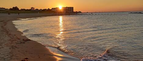 Plage à proximité, chaises longues, serviettes de plage