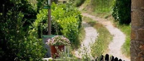 المنطقة المحيطة بالمنشأة