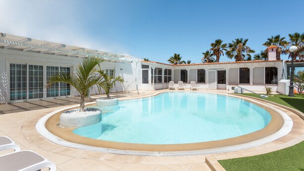 A swimming pool with a curved edge, surrounded by a patio area with lounge chairs and a small palm tree.