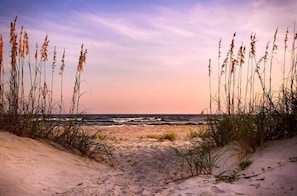 A beach path leading to the ocean with tall grasses on either side.