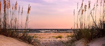 Gwinnett's Luxury Cottage- Private Courtyard & Off Street Parking Included!