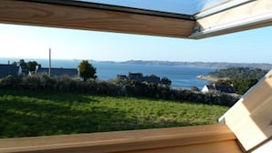 A view from a window with a wooden frame overlooking a grassy area and a body of water.