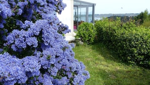 A modern house with a glass conservatory, surrounded by lush greenery and purple flowers.