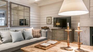 Télévision, cheminée, lecteur de DVD