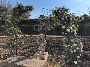 Stroll through a serene garden filled with vibrant flowers and a charming statue.