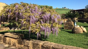 Un jardín con un gran árbol de glicinas, una estatua y una estructura de piedra.