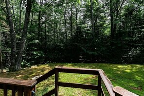 Um deck de madeira com um banco, rodeado por uma floresta densa.