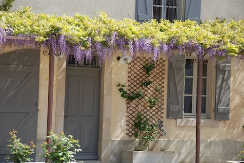 Gîte Glycine for 8 people