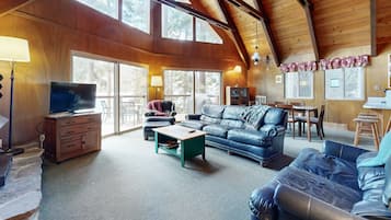 Televisión, chimenea y reproductor de DVD