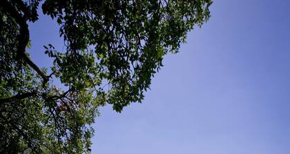 Pombais Turismo - Casa do Brasão