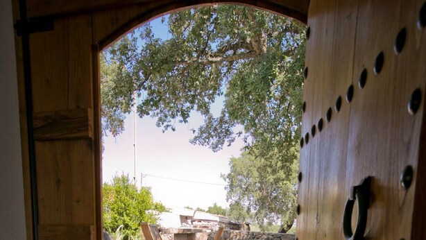 A wooden door leading to an outdoor area with a stone bench and chairs, a stone wall, and a clear view of trees and sky.