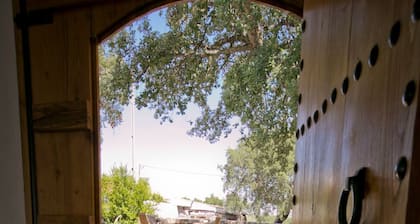 Pombais Turismo - Casa do Brasão