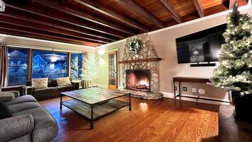 TV, fireplace, books, music library