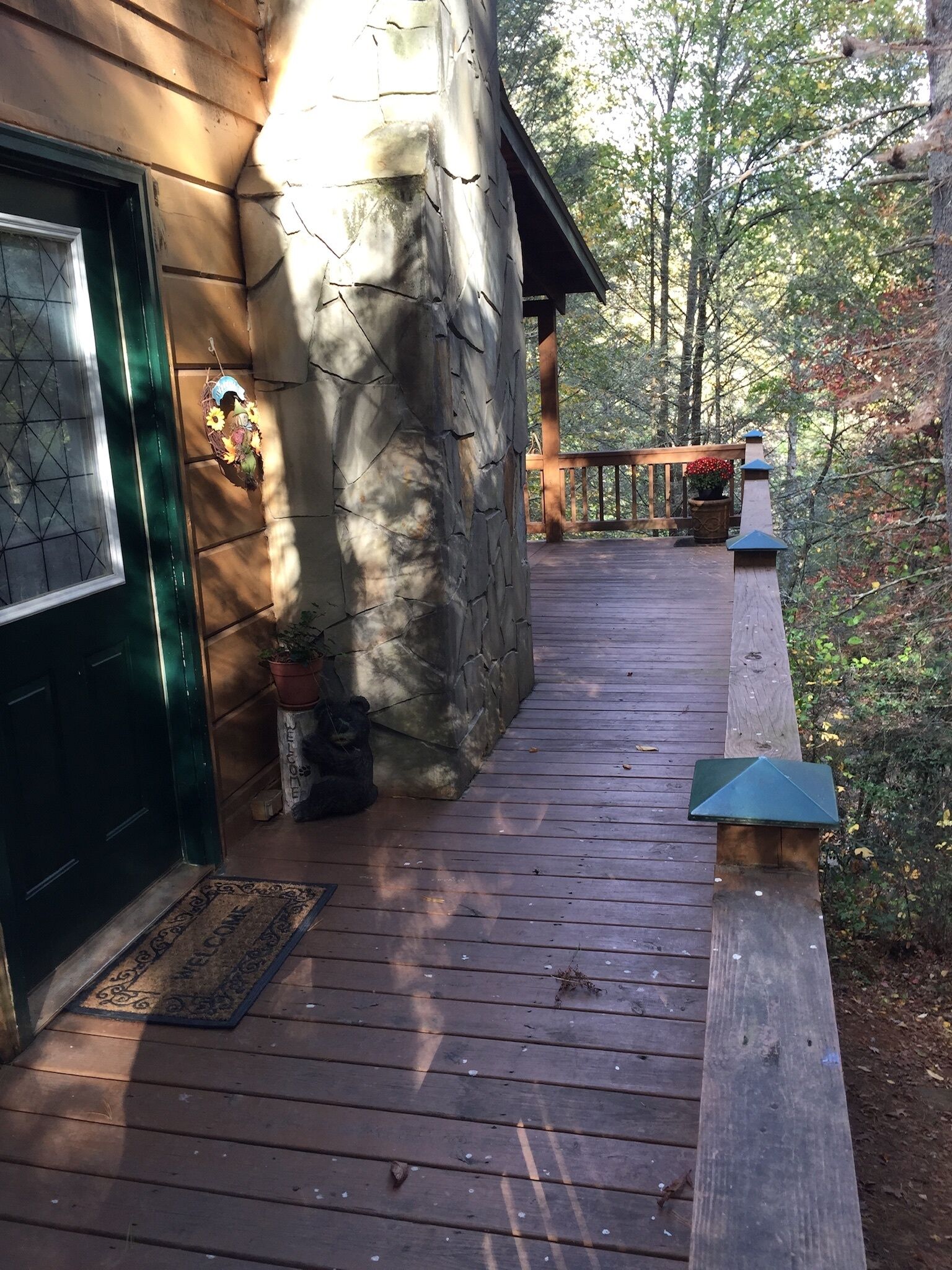 テラス / パティオ