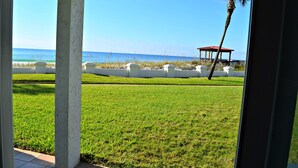 A view of a well-maintained lawn with a white fence, a palm tree, and a red-roofed structure in the distance.
