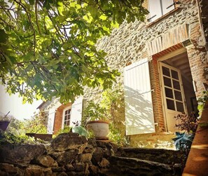 Unclassified image, 4 of 20, button