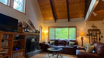 TV connectée, cheminée, jeux vidéo, lecteur de DVD