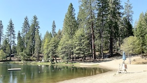 A lakeside area with a sandy beach, a wooden dock, and a blue sign.