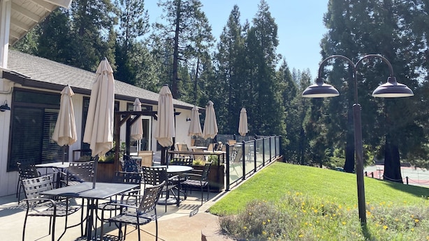 An outdoor patio with tables and chairs, surrounded by tall trees and a grassy area.